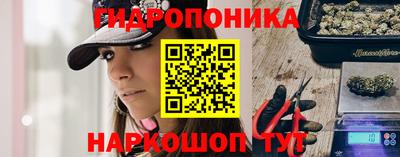 spice Заводоуковск